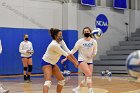 Volleyball vs RWU  Wheaton Women’s Volleyball vs Roger Williams University. : Volleyball, VB